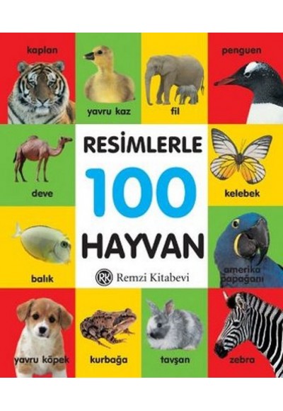 Resimlerle 100 Hayvan (Küçük Boy Ciltli)