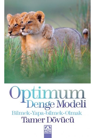 Optimum Denge Modeli