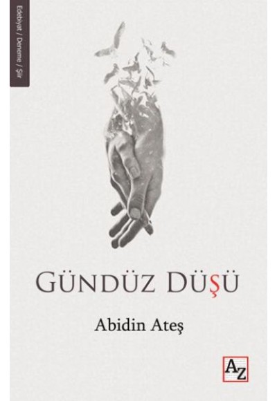 Gündüz Düşü