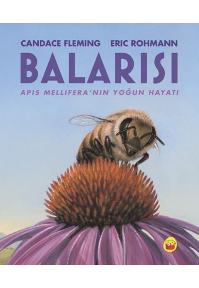 Balarısı