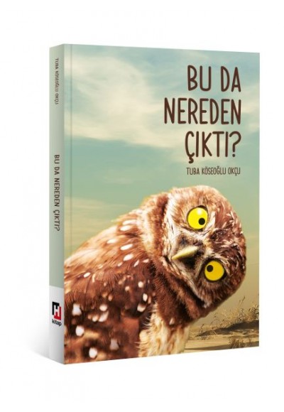 Bu Da Nereden Çıktı?