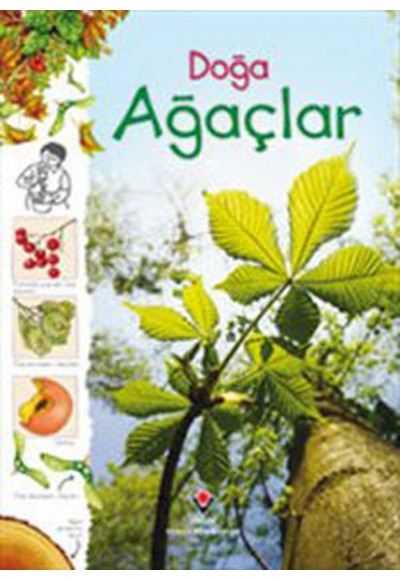 Doğa - Ağaçlar