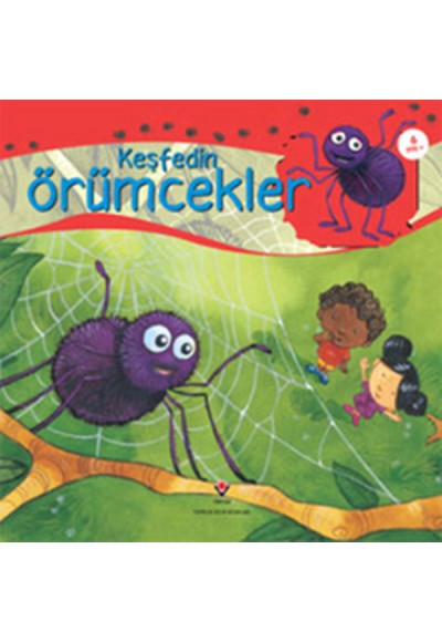 Keşfedin / Örümcekler