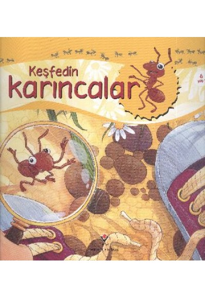 Keşfedin - Karıncalar