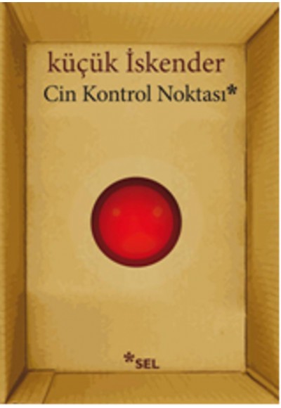 Cin Kontrol Noktası