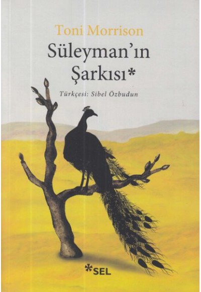 Süleyman’ın Şarkısı