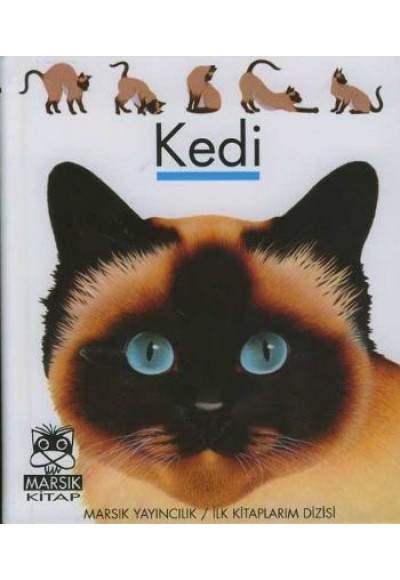 Kedi / İlk Kitaplarım Dizisi