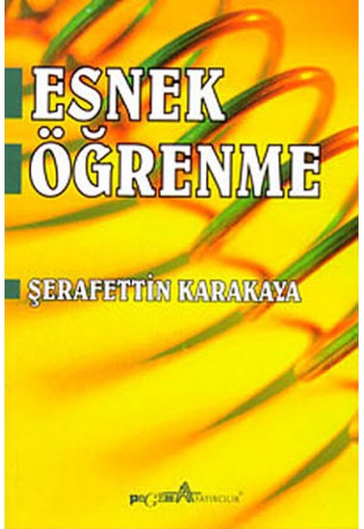 Esnek Öğrenme