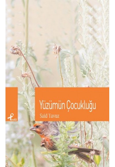 Yüzümün Çocukluğu