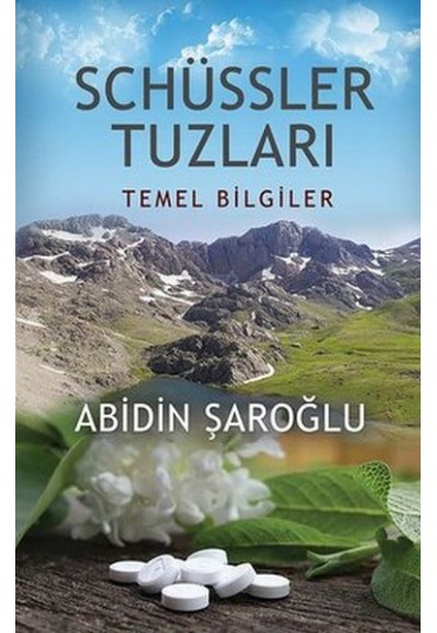 Schüssler Tuzları